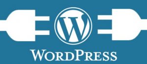 disadvantage of wordpress plugins