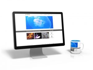 How Image Alt Tags Helps In Improving The Ranks on SERPs