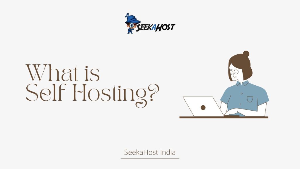Example Self Hosting What is Self hosting Website? Advantages and Disadvantages