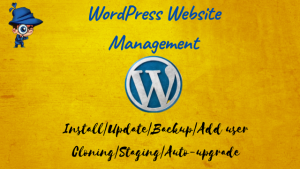 Wordpress Website Management