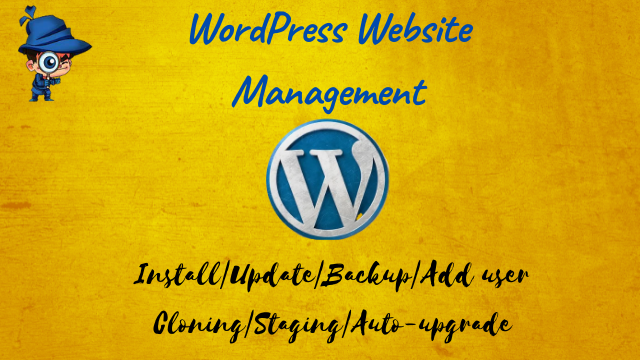 Wordpress Website Management