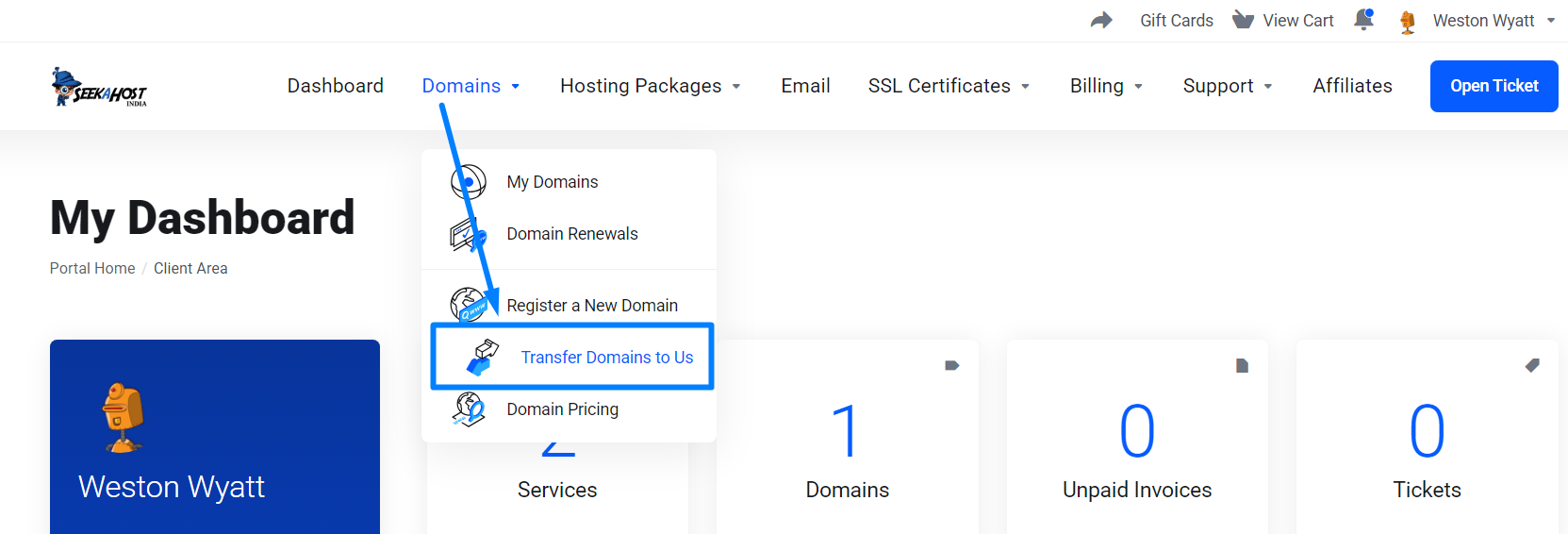 Transfer Domain to Us