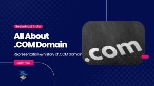 What does the .com domain represent?