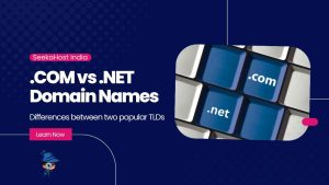 Difference between .com vs .net