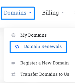 Domain Renewal Section