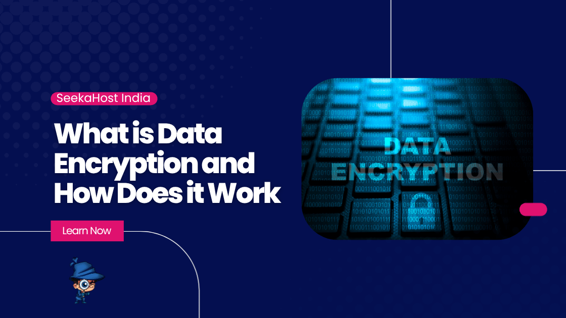 Data Encryption and How it Work