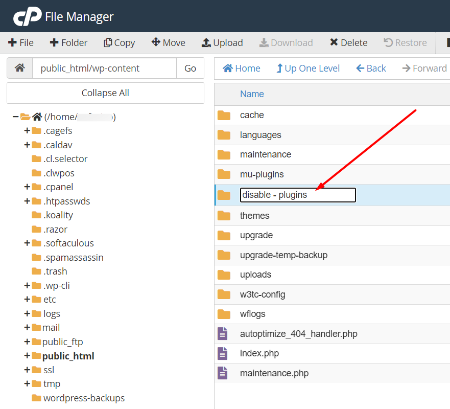 Disable Plugins Folder