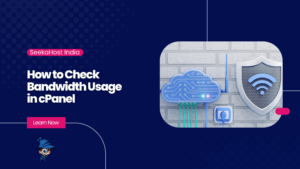 How to Check Bandwidth Usage in cPanel
