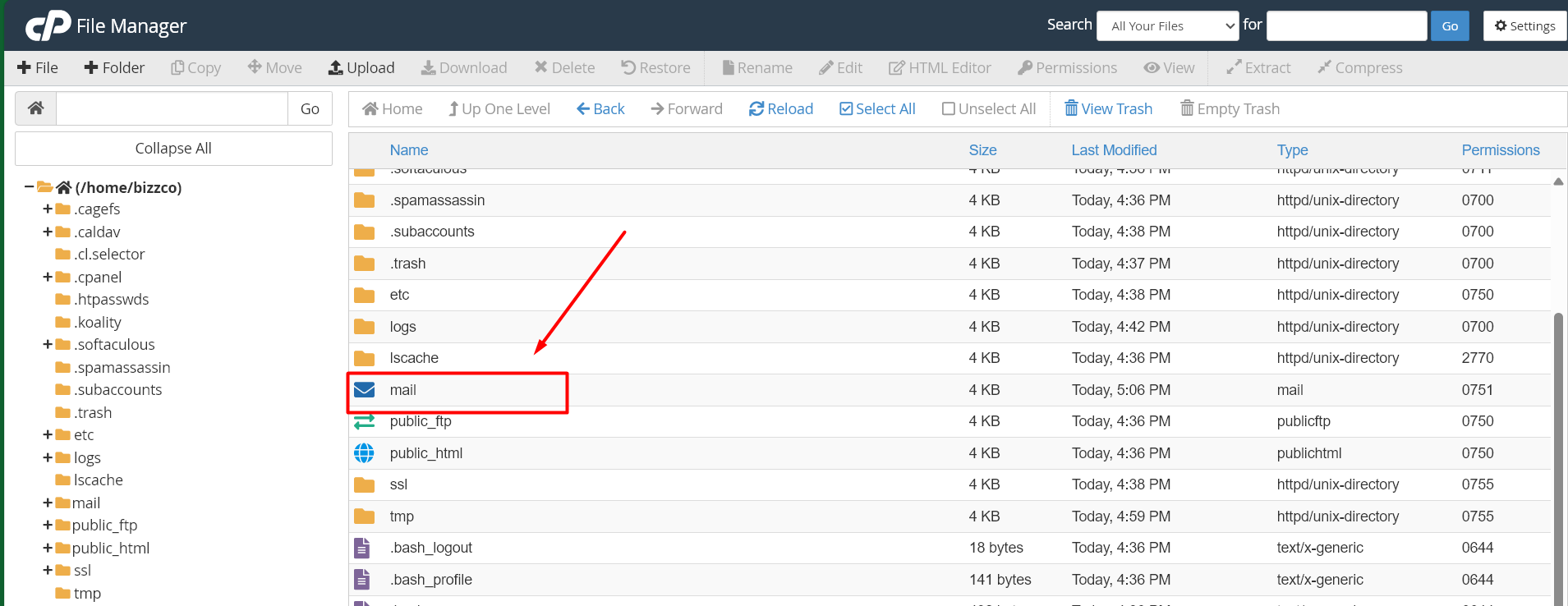 Mail Directory - cPanel