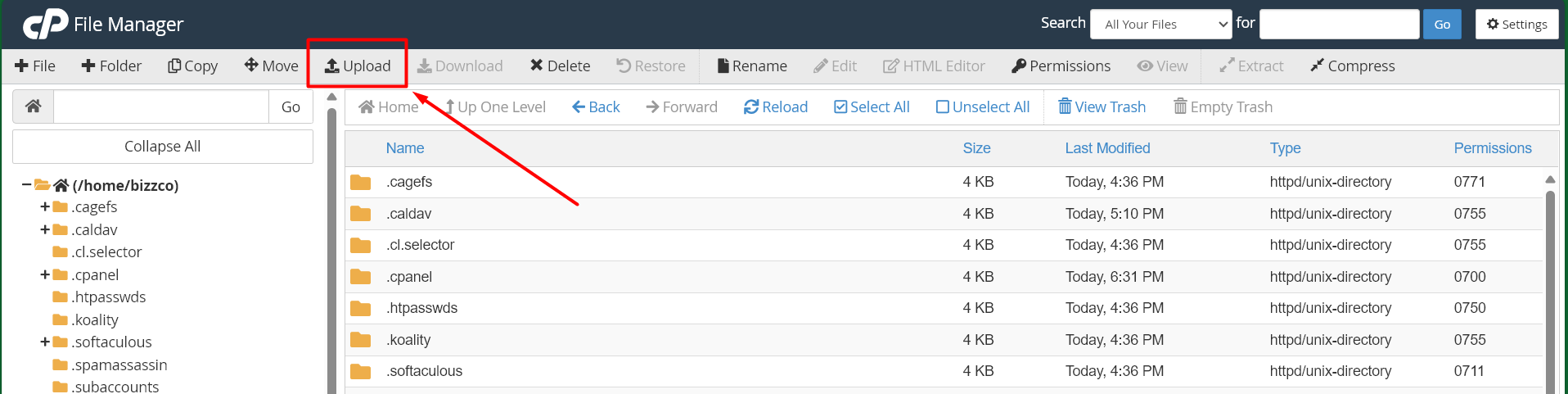 Upload option - cPanel