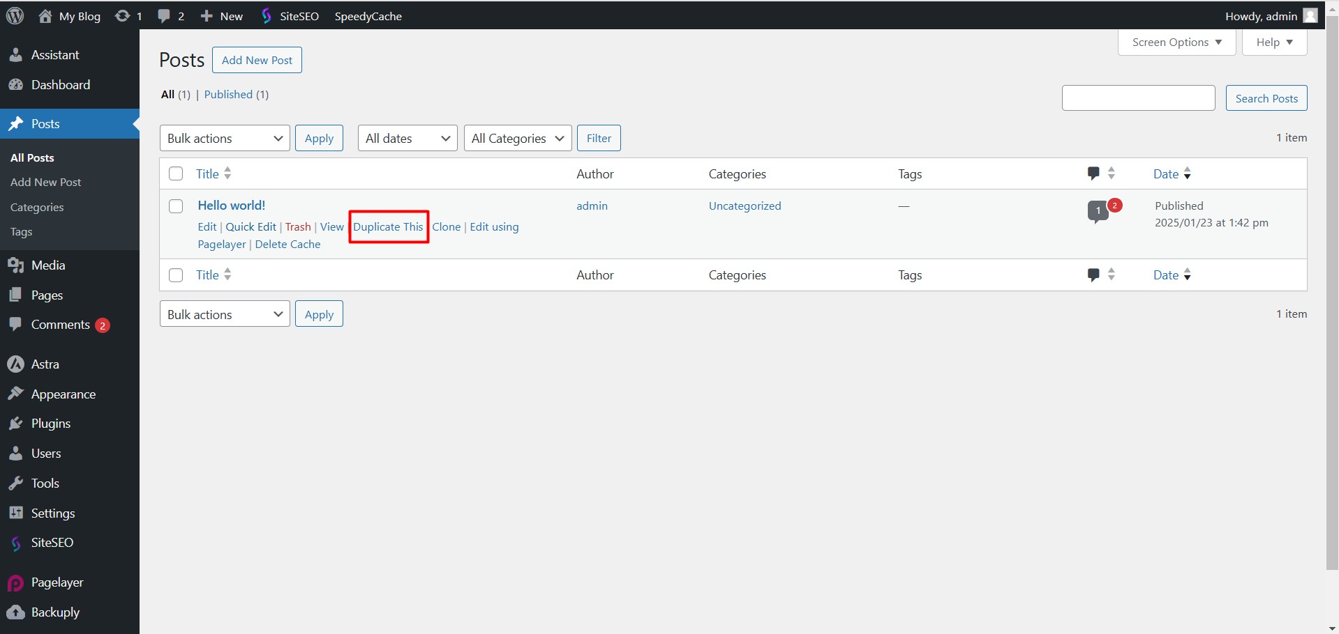 Duplicate WordPress Pages or Posts