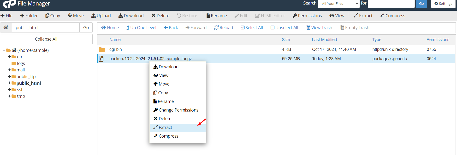Extract Backup Zip File