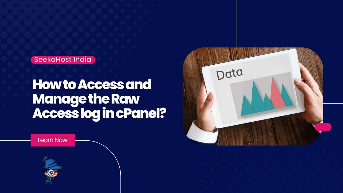 How to Access and Manage the Raw Access log in cPanel