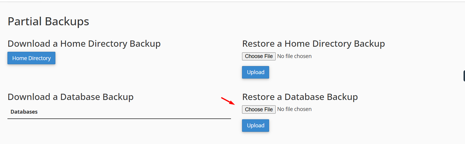 Restore Database Backup cPanel