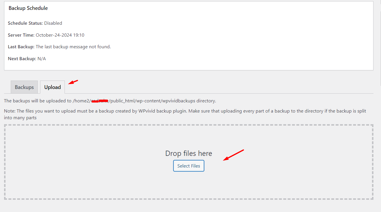 Upload Backup file - WPVivid