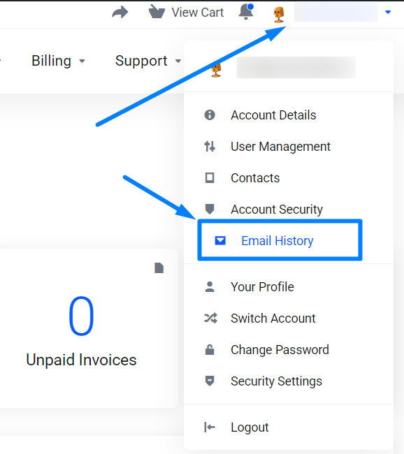 Email History - Client Area