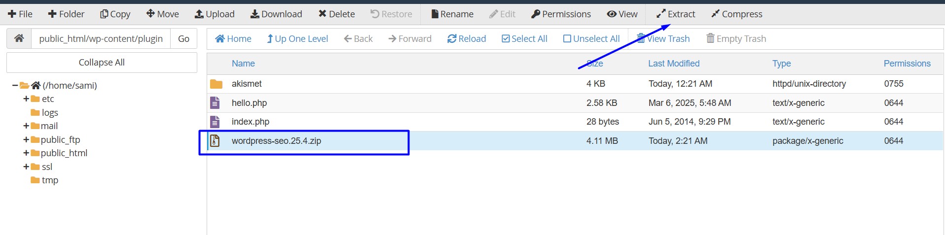 Click Extract option