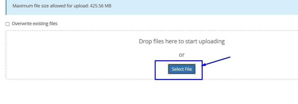 Select file option