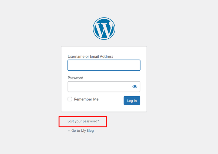 Change wordpress password using lost password