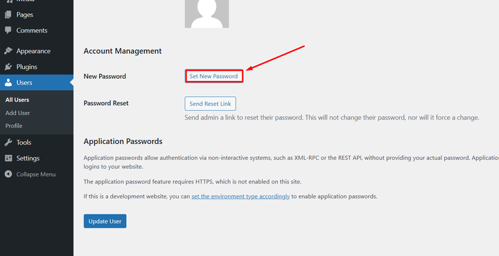 Set new password for WordPress user