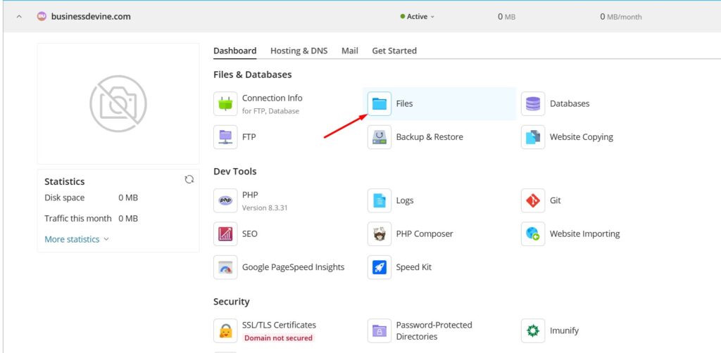 Files section - plesk