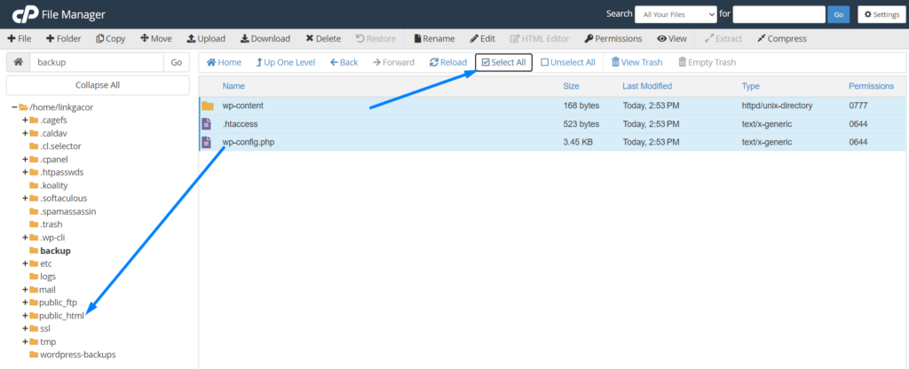 Move Files to publi_html folder