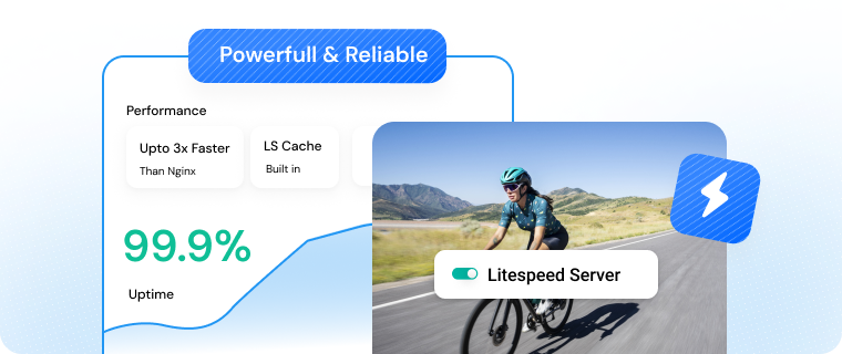 LiteSpeed SSD hosting servers