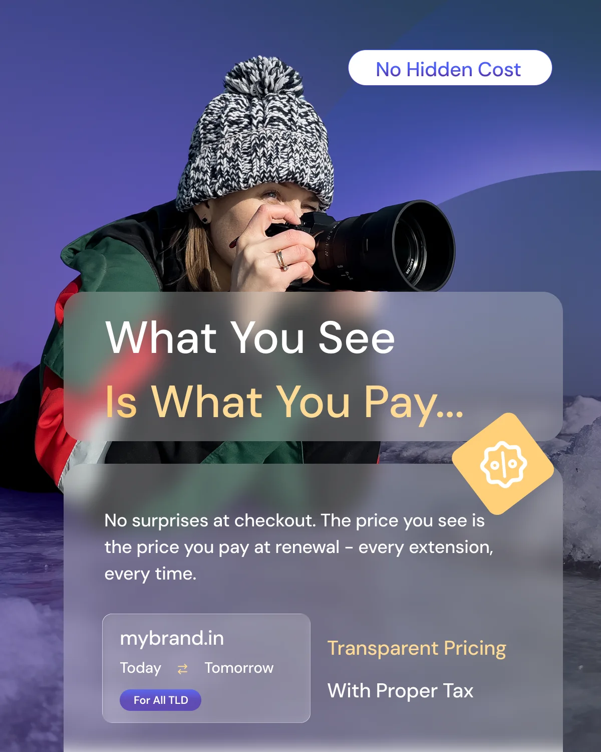 Domain pricing preview